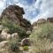 Cozy Rustic Home minutes to Joshua Tree Nat'l Park - Joshua Tree
