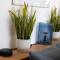 121 Studio - Central Studio Apartment, Terrace & Full Kitchen - Airport & Train Shuttle
