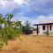 Casa Barzò - surrounded by olive trees