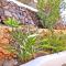 CASA LA ISLA - Tarajalejo - GlasfaserInternet - Garten
