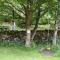 Sweetbriar Cottage Bed & Breakfast and Camping - Starbotton