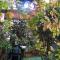 The Garden