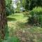 Loriere des Bois