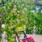 Villa Vintage B&B