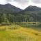 Summit Lake Lodge