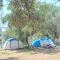 Unique Stay at Olive Camping