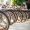 Central Backpackers Hostel - Phong Nha