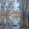 Riversands Rest Accommodation Scenic Riverfront Cottages, Paringa