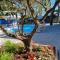 Blue Inn Residence e B&B - Lido delle Nazioni