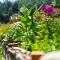 Heimat Natur Resort