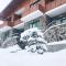 Fortuna Cottage Bakuriani