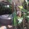 Kaz Créole Aventure Tropicale Insolite, Fibre, Jardin et Jacuzzi Privés