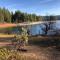 Modern Cabin Get Away - close to APPLE HILL - Pollock Pines