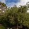 Maison Mialon: country house amidst of nature