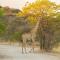 Eagle Tented Lodge & Spa