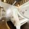 Gili Breeze Tropical Bungalows