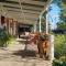 Beit Shalom before known as Best Little Guesthouse - Oudtshoorn