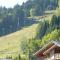 Studio Morzine, 1 pièce, 6 personnes - FR-1-524-104 - Morzine