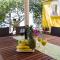 Secluded fishermans cottage Lavdara, Dugi otok - 396