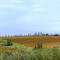 Podere Vignola