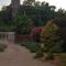 Bouganville