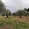 Quinta Lameira do Vale