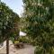 Kowhai Cottage & Studio