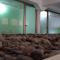 aridane loft