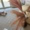 Hyele Accommodation Experience