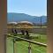 Grapevines Hotel