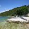 Apartments by the sea Prozurska Luka, Mljet - 4940 - Prožura