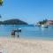 Apartments by the sea Brna, Korcula - 4415