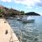 Apartments by the sea Brna, Korcula - 4425 - Smokvica