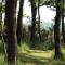 Birch Lodge, Pitlandie - Luxury 2 Bedroom Lodge with Sauna