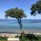 Rewal Hevenia The Best View ever