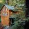 The Wood Chalet Hot Tub BBQ Redwoods