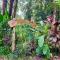 Wildlife Lodge Cahuita