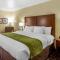 Comfort Inn & Suites North Aurora - Naperville - Орора