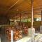 Jungle Hut Resort
