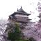 托姆布克图山林小屋 - 富士见町