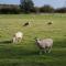 Hare & Hounds Bed & Breakfast