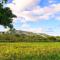 Hacienda La Huerta Puerto Plata, 1 BDR