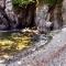 Apartments with a swimming pool Lovran, Opatija - 7707 - 洛夫兰