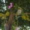 Hotel White Gate Residency -near to Vaikom Sri Mahadeva Temple