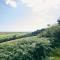 Brofallen- Spacious pet friendly bungalow with amazing coastal views