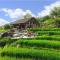 Cơmlam Eco House