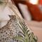 Chambre Jungle dans maison dhote "Le Petit Clouet"- Rochecorbon