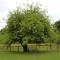 Ta Mill Cottages & Lodges - Meadowview Chalet 4 - Launceston