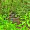 Cozy Riverside Dahlonega Home with Kayaks and Fire Pit - Dahlonega