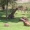 Caracal Lodge